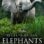 Secrets of the Elephants : 1.Sezon 1.Bölüm izle