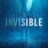 Invisible : 1.Sezon 5.Bölüm izle