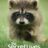 The Secret Lives of Animals : 1.Sezon 9.Bölüm izle