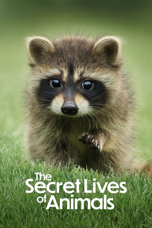 The Secret Lives of Animals : 1.Sezon 9.Bölüm