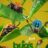 A Real Bug’s Life : 2.Sezon 3.Bölüm izle