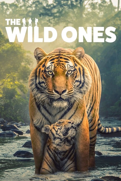 The Wild Ones : 1.Sezon 6.Bölüm